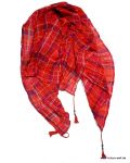 Garcia Ozra red